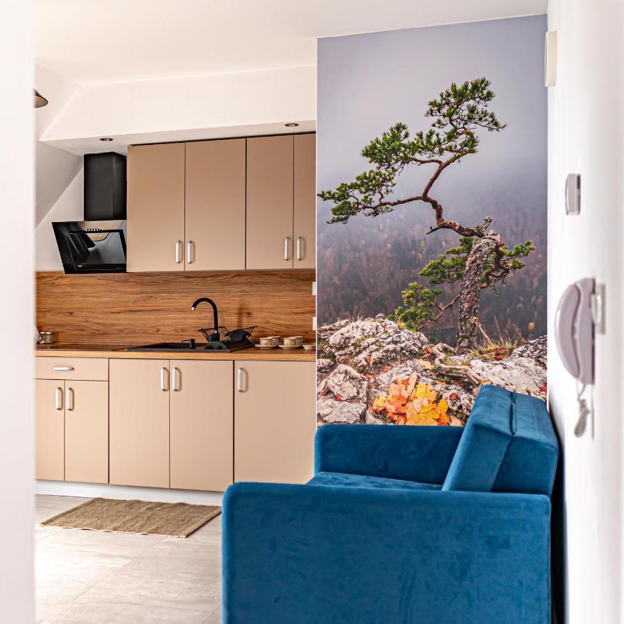 Velo Apartamenty Czorsztyn Bagian luar foto