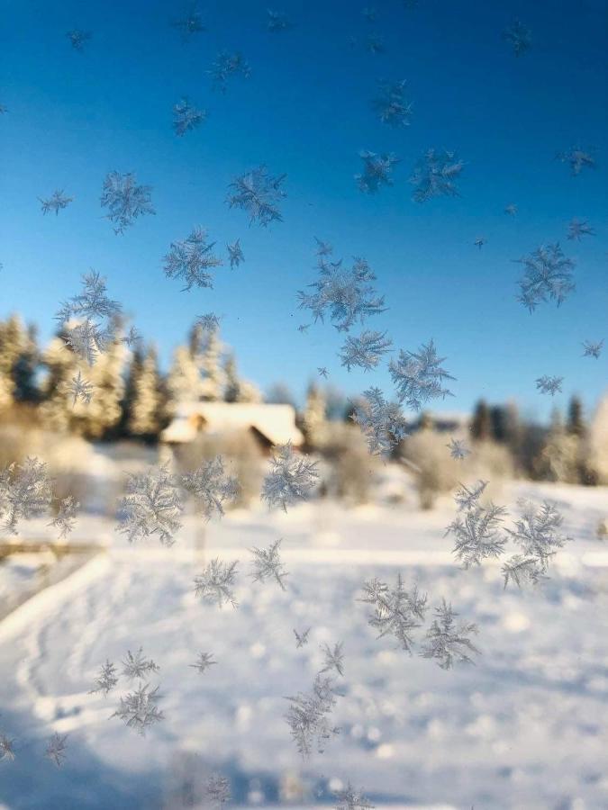 Velo Apartamenty Czorsztyn Bagian luar foto